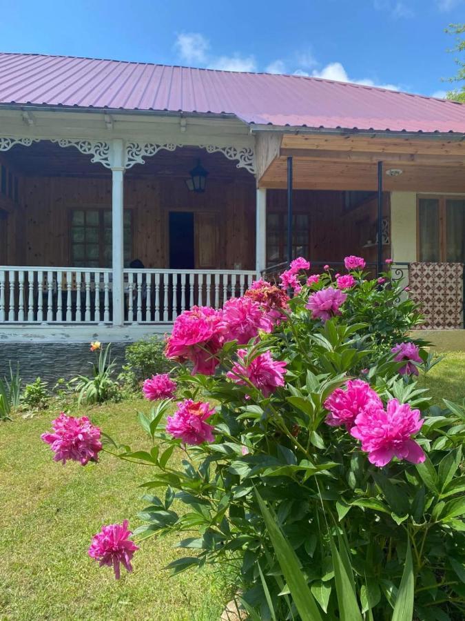 Guest House Lailashi Surmushi Bagian luar foto